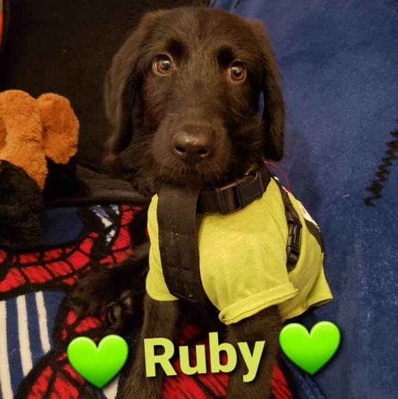 Meet your Posher, Alix - Picture 6 of 11